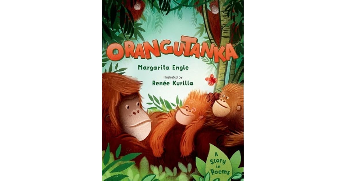 Image result for orangutanka