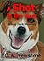 A Shot in the Bark (Dog Park Mystery, #1)