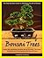 Master The Art Of Bonsai Trees