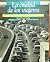 La Ciudad De Los Viajeros: Travesias e Imaginarios Urbanos, Mexico, 1940-2000