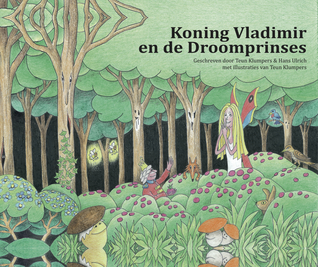 Koning Vladimir en de Droomprinses (Hardcover)