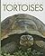 Tortoises