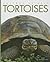 Tortoises (Amazing Animals)