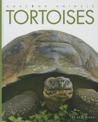Tortoises (Amazing Animals)