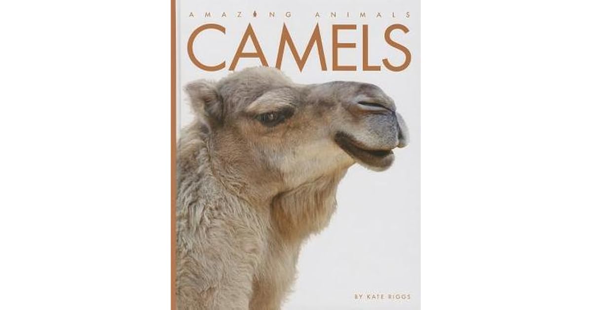 Camels by Kate Riggs