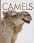 Camels (Amazing Animals)