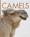 Camels (Amazing Animals)