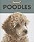 Poodles (Fetch!)