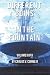 Different Coins in the Fountain by Carlos Cornejo
