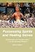 Possessing Spirits and Healing Selves: Embodiment and Transformation in an Afro-Brazilian Religion (Culture, Mind, and Society)