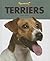 Terriers (Fetch!)