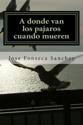 A donde van los pajaros cuando mueren: Una historia de amor en el cielo (Spanish Edition)