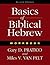 Basics of Biblical Hebrew W...