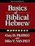 Basics of Biblical Hebrew Workbook