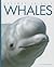 Whales (Amazing Animals)