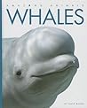 Whales (Amazing Animals)