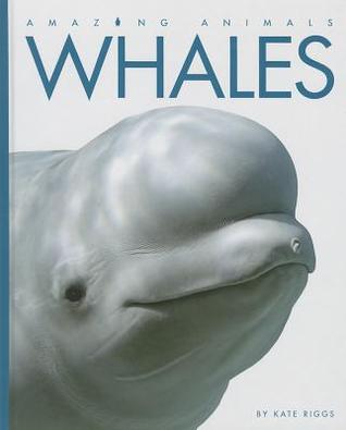 Whales (Amazing Animals)