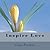 Inspire Love by Lana Freiman