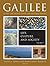 Galilee in the Late Second Temple and Mishnaic Periods, Volume 1 by David A. Fiensy