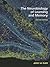 The Neurobiology of Learnin...