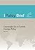 Davutoglu Era in Turkish Foreign Policy (SETA Policy Briefs Book 32)