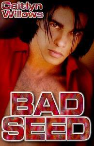 Bad Seed (Kindle Edition)