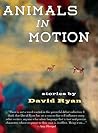 Animals in Motion by David    Ryan