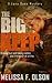 The Big Keep (Lena Dane Mys...