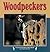 Woodpeckers