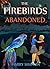 The Firebirds, Abandoned