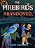 The Firebirds, Abandoned