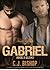 GABRIEL 3: Heroes and Villains (Phoenix Club, #12)