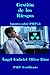 Gestión del Riesgo - PMP V5 (Apuntes sobre PMP v5 nº 8) (Spanish Edition)
