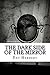 The Dark Side of the Mirror (The Reverend Bernard Paltoquet Mystery Series, #7)