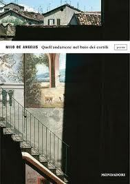 Quell'andarsene nel buio dei cortili (Paperback)