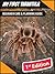 My First Tarantula: Beginner Care & Planning Guide