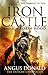 The Iron Castle (The Outlaw Chronicles, #6)