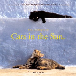 The Complete Cats in the Sun (Hardcover)