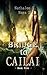 Bridge to Cailai: Book Five