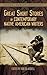 Great Short Stories by Contemporary Native American Writers by Bob Blaisdell