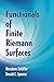 Functionals of Finite Riemann Surfaces (Dover Books on Mathematics)