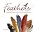 Feathers: A Beautiful Look ...