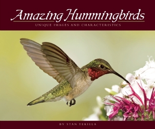 Amazing Hummingbirds: Unique Images and Characteristics (Wildlife Appreciation)