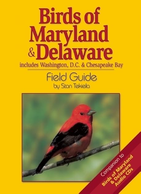 Birds of Maryland & Delaware Field Guide: Includes Washington, D.C. & Chesapeake Bay (Bird Identification Guides)