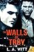 The Walls of Troy