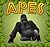 Apes