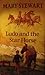 Ludo and the Star Horse