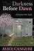 The Darkness Before Dawn by Alice Cangemi