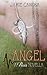 Angel (Pieces #1.5)
