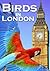 Birds in London